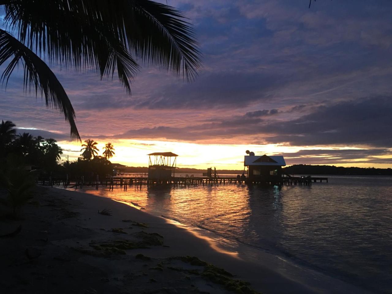 Dona Mara Gastro Hotel Bocas del Toro Exteriör bild