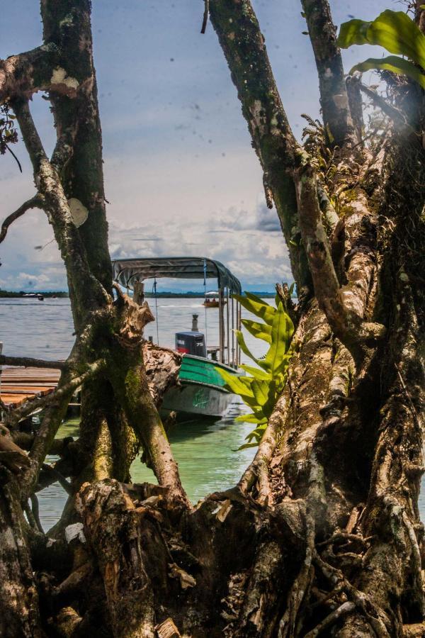 Dona Mara Gastro Hotel Bocas del Toro Exteriör bild